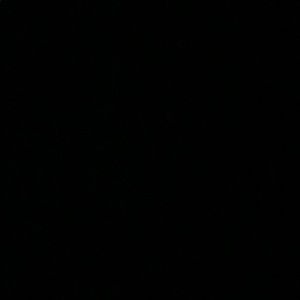 No yankee With no brim